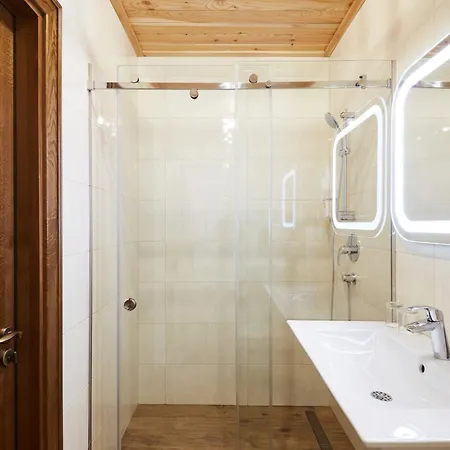 Ganz & מלון בוקובל