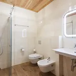 Hotel Ganz & 4*